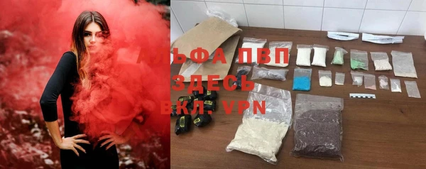стаф Пересвет